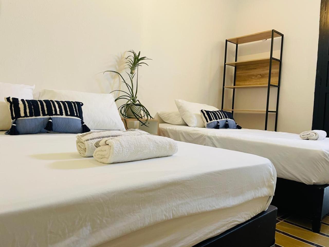 Hostal 1545 ริออชชา ภายนอก รูปภาพ